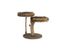 Designed By Lotte Krabpaal Aviva -Lotte Voeding Winkel 0408865 det2