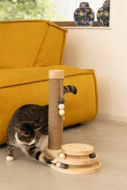 Designed By Lotte Krabpaal Inez -Lotte Voeding Winkel 0409150 sfeer1