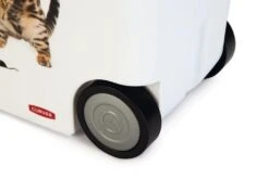 Curver Voedselcontainer Kat 35 Ltr -Lotte Voeding Winkel 0412026 det5