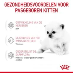 Royal Canin Kattenvoer Babycat Milk 300 Gr -Lotte Voeding Winkel 3182550710862 3