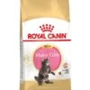Royal Canin Kattenvoer Maine Coon Kitten 4 Kg