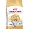 Royal Canin Kattenvoer Norwegian Forest Cat Adult 10 Kg