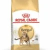 Royal Canin Kattenvoer Bengal Adult 10 Kg
