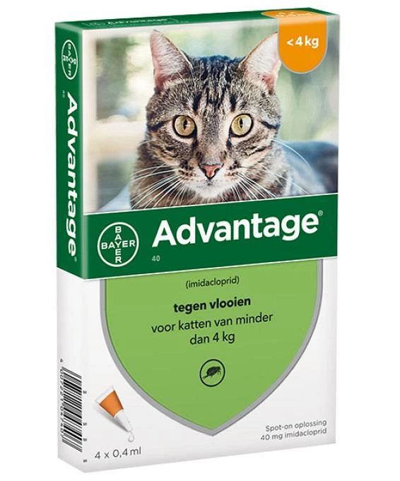 Advantage Kat 40 4 Pipetten 1 Advantage Kat 40 4 Pipetten