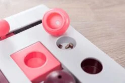 TRIXIE Cat Activity Brain Mover -Lotte Voeding Winkel 4596 2