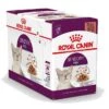 Royal Canin Kattenvoer Sensory Feel In Gravy 12 X 85 Gr