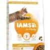 IAMS Kattenvoer Adult Hairball Chicken 10 Kg