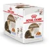 Royal Canin Kattenvoer Ageing 12+ In Jelly 12 X 85 Gr