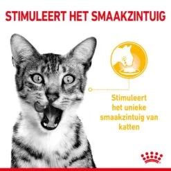 Royal Canin Kattenvoer Sensory Taste In Gravy 12 X 85 Gr 5 Royal Canin Kattenvoer Sensory Taste In Gravy 12 X 85 Gr -Lotte Voeding Winkel RC SPT WET SensTasteCIG CV 1 nl NL