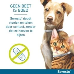Seresto Band Voor Katten -Lotte Voeding Winkel Seresto doodt door contact