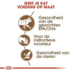 Royal Canin Kattenvoer Ageing 12+ In Jelly 12 X 85 Gr -Lotte Voeding Winkel royal canin ageing 12plus in jelly senior kat oudere kat vanaf 12 jaar hero usp