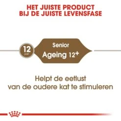 Royal Canin Kattenvoer Ageing 12+ 2 Kg 7 Royal Canin Kattenvoer Ageing 12+ 2 Kg -Lotte Voeding Winkel royal canin ageing 12plus senior kat oudere kat vanaf 12 jaar hero image 9