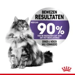 Royal Canin Kattenvoer Appetite Control Care 3,5 Kg -Lotte Voeding Winkel royal canin appetite control care gesteriliseerd volwassen kat bedelgedrag hero image 9