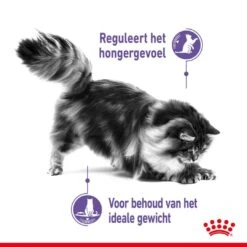 Royal Canin Kattenvoer Appetite Control Care 3,5 Kg -Lotte Voeding Winkel royal canin appetite control care gesteriliseerd volwassen kat bedelgedrag hero usp