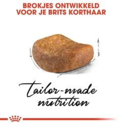 Lotte Voeding Winkel -Lotte Voeding Winkel royal canin british shorthair adult volwassen kat brits korthaar van 1 tot 12 jaar hero kibble 1