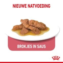 Royal Canin Kattenvoer Indoor In Gravy 12 X 85 Gr 6 Royal Canin Kattenvoer Indoor In Gravy 12 X 85 Gr -Lotte Voeding Winkel royal canin indoor sterilised gravy volwassen kat binnenkatten hero kibble