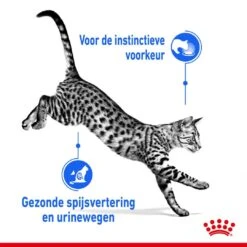 Royal Canin Kattenvoer Indoor In Jelly 12 X 85 Gr -Lotte Voeding Winkel royal canin indoor sterilised jelly volwassen kat binnenkatten hero usp
