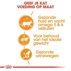 Royal Canin Kattenvoer Intense Beauty In Gravy 12 X 85 Gr -Lotte Voeding Winkel royal canin intense beauty in gravy volwassen kat vacht en huid hero usp