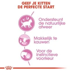 Royal Canin Kattenvoer Kitten In Jelly 12 X 85 Gr -Lotte Voeding Winkel royal canin kitten in jelly kitten kat groeifase hero usp