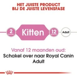 Royal Canin Kattenvoer Kitten 2 Kg -Lotte Voeding Winkel royal canin kitten kitten kat groeifase hero image 8 1