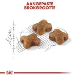 Nieuwe uitgaven -Lotte Voeding Winkel royal canin kitten kitten kat groeifase hero kibble