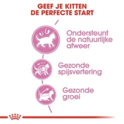 Royal Canin Kattenvoer Kitten 10 Kg -Lotte Voeding Winkel royal canin kitten kitten kat groeifase hero usp