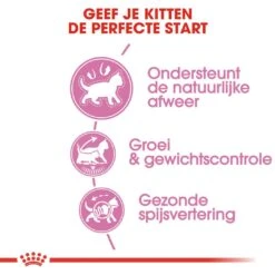 Royal Canin Kattenvoer Kitten Sterilised 3,5 Kg -Lotte Voeding Winkel royal canin kitten sterilised kitten kat castratie sterilisatie hero usp