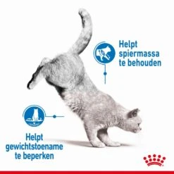 Royal Canin Kattenvoer Light Weight Care 1,5 Kg -Lotte Voeding Winkel royal canin light weight care volwassen kat preventie overgewicht hero image 8