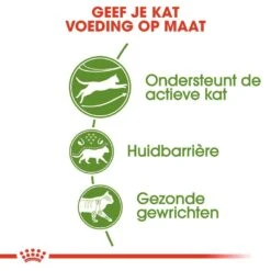 Royal Canin Kattenvoer Outdoor 10 Kg -Lotte Voeding Winkel royal canin outdoor volwassen kat buitenkatten hero usp