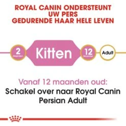 Royal Canin Kattenvoer Persian Kitten 2 Kg -Lotte Voeding Winkel royal canin persian kitten kitten kat pers hero image 8 1