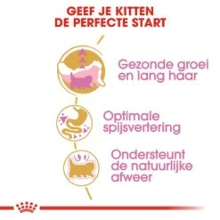 Royal Canin Kattenvoer Persian Kitten 10 Kg -Lotte Voeding Winkel royal canin persian kitten kitten kat pers hero usp