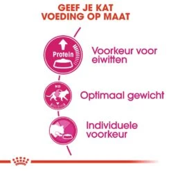 Royal Canin Kattenvoer Protein Exigent 10 Kg 5 Royal Canin Kattenvoer Protein Exigent 10 Kg -Lotte Voeding Winkel royal canin protein exigent volwassen kat kieskeurige katten hero usp