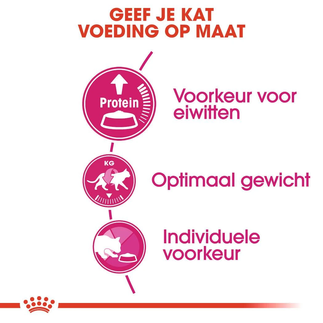 Royal Canin Kattenvoer Protein Exigent 10 Kg 3 Royal Canin Kattenvoer Protein Exigent 10 Kg - Afbeelding 3