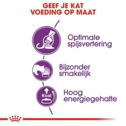 Royal Canin Kattenvoer Sensible 33 10 Kg 5 Royal Canin Kattenvoer Sensible 33 10 Kg -Lotte Voeding Winkel royal canin sensible 33 volwassen kat ondersteuning spijsvertering hero usp