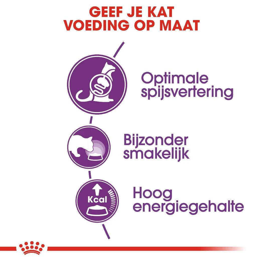 Royal Canin Kattenvoer Sensible 33 10 Kg 3 Royal Canin Kattenvoer Sensible 33 10 Kg - Afbeelding 3